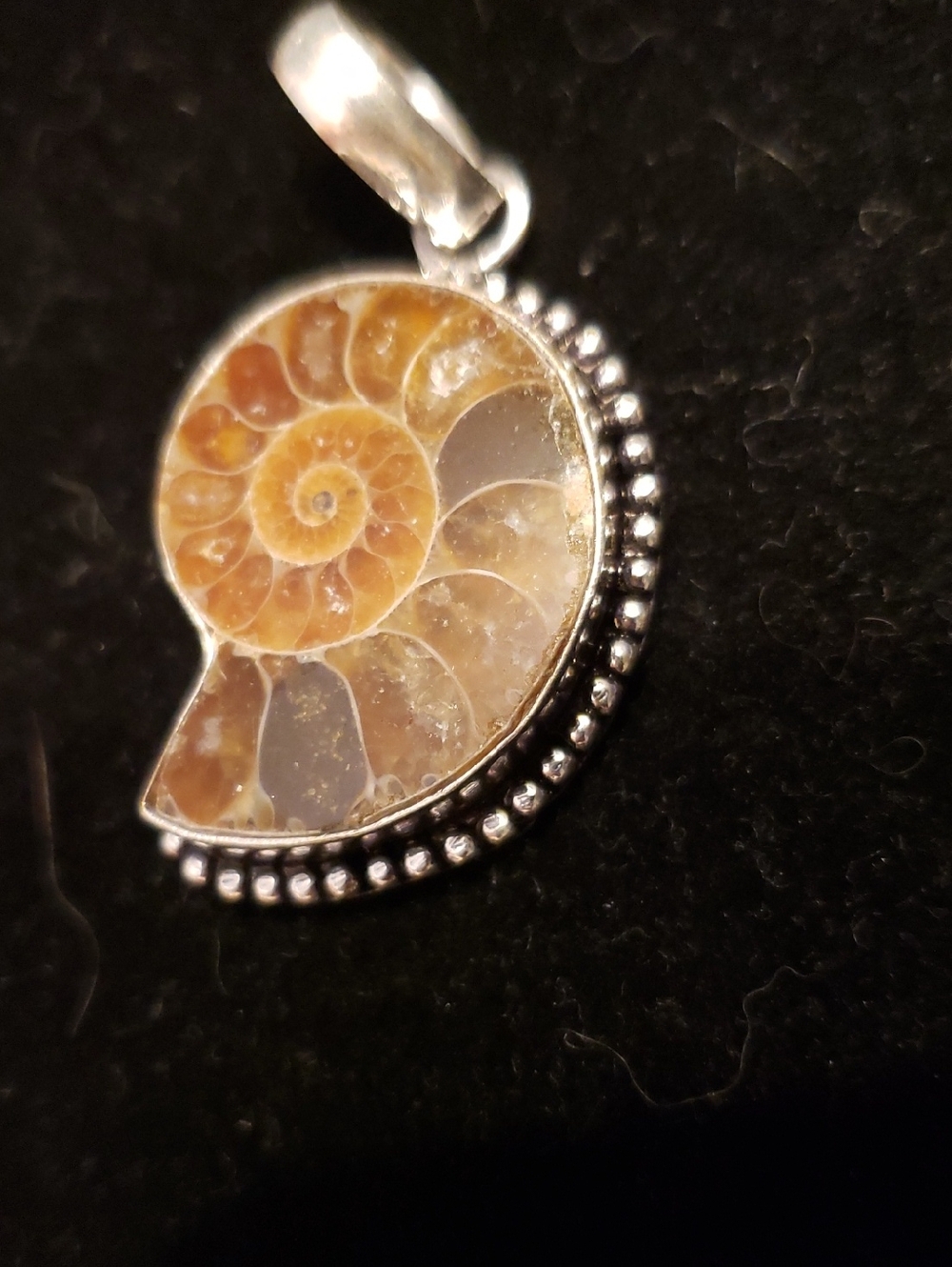 NEW Ammonite Pendant Necklace, Stamped 925 Sterling Silver, Polished Fossil.